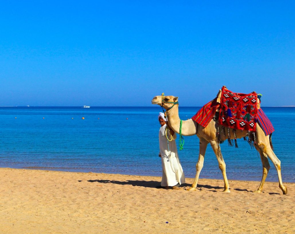 soma-bay-egypt-tours-portal